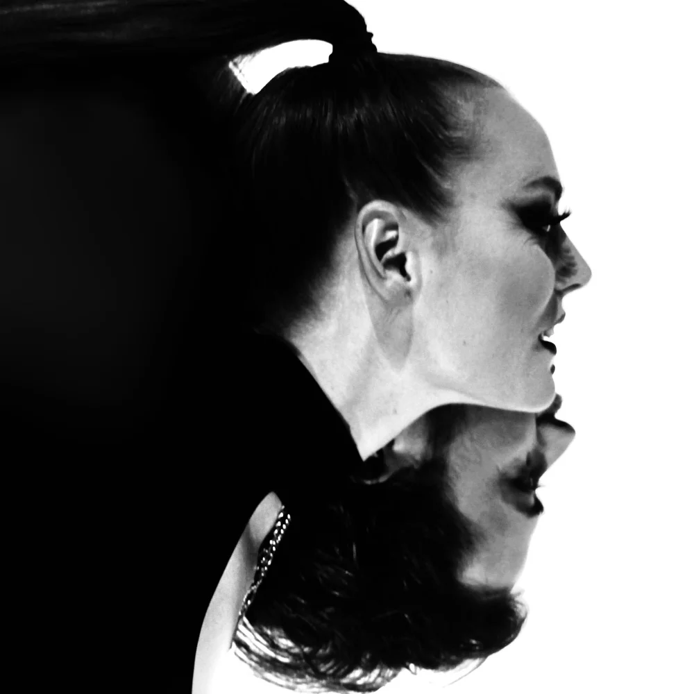 Cover: LÜX – fling