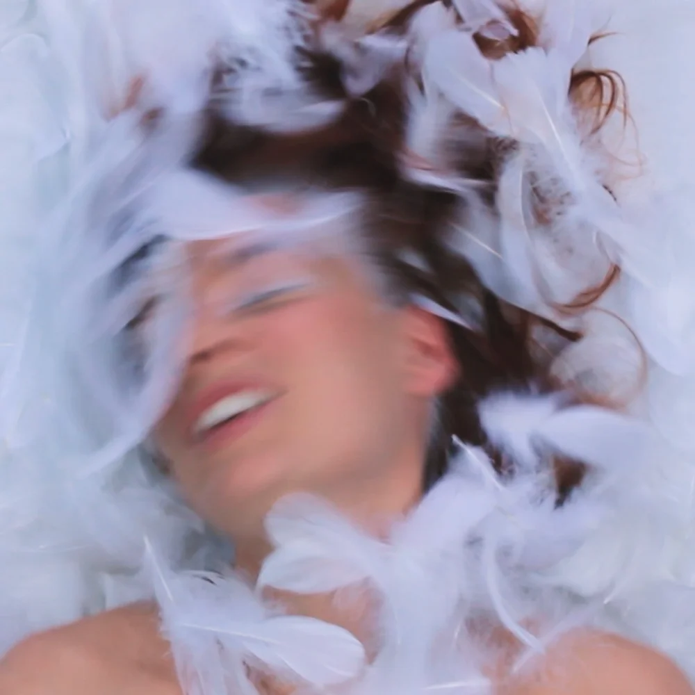 Cover: LÜX – featherbrained